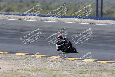 media/Apr-14-2024-SoCal Trackdays (Sun) [[70f97d3d4f]]/5-Bowl Exit (1020am)/